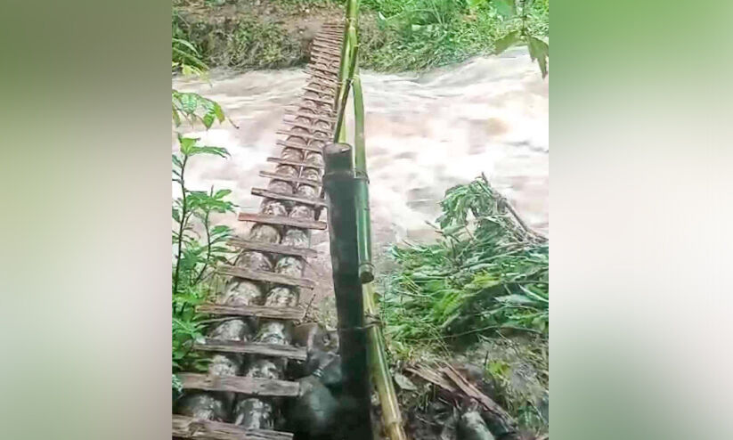 പാലമില്ല, നാട്ടുകാര് നിര്മിച്ച പാലത്തിലൂടെ മക്കളെ വിടാനും ഭയം; വിദ്യാര്ഥികളുടെ പഠനം മുടങ്ങി പാലമില്ല, നാട്ടുകാര് നിര്മിച്ച പാലത്തിലൂടെ മക്കളെ വിടാനും ഭയം; വിദ്യാര്ഥികളുടെ പഠനം മുടങ്ങി