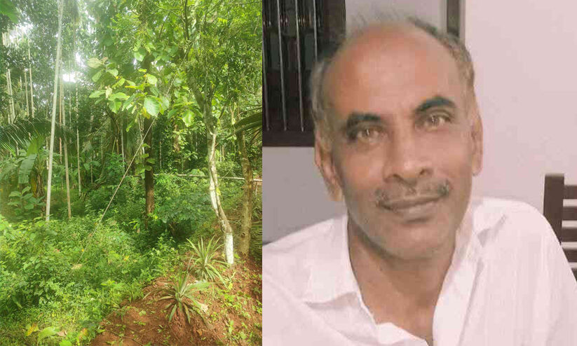 വൈദ്യുതി കമ്പി പൊട്ടിവീണ വിവരം രാത്രി തന്നെ അറിയിച്ചു, 15 മണിക്കൂര് കഴിഞ്ഞിട്ടും ഓഫാക്കിയില്ല; കെ.എസ്.ഇ.ബിയുടെ അനാസ്ഥയെന്ന് ആരോപണം, പ്രതിഷേധം ശക്തം വൈദ്യുതി കമ്പി പൊട്ടിവീണ വിവരം രാത്രി തന്നെ അറിയിച്ചു, 15 മണിക്കൂര് കഴിഞ്ഞിട്ടും ഓഫാക്കിയില്ല; കെ.എസ്.ഇ.ബിയുടെ അനാസ്ഥയെന്ന് ആരോപണം, പ്രതിഷേധം ശക്തം