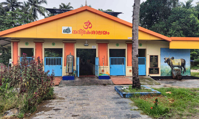 സംഗീതം കേട്ടുറങ്ങാം... നന്ദികേശന്മാർ സംതൃപ്തരാണ്