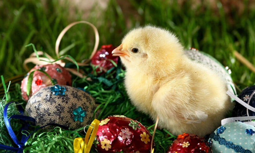 ഉ​യ​ർ​ത്തെ​ഴു​ന്നേ​റ്റ ക്രി​സ്തു