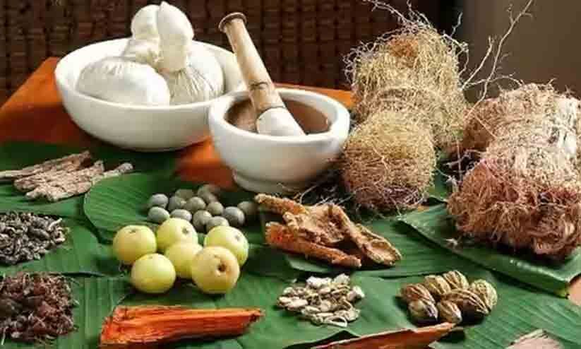 മഞ്ഞുകാല ശ്വസന പ്രശ്നങ്ങളെ നേരിടാൻ ഇതാ വീട്ടുമുറ്റത്തെ അഞ്ച് ഔഷധങ്ങൾ മഞ്ഞുകാല ശ്വസന പ്രശ്നങ്ങളെ നേരിടാൻ ഇതാ വീട്ടുമുറ്റത്തെ അഞ്ച് ഔഷധങ്ങൾ