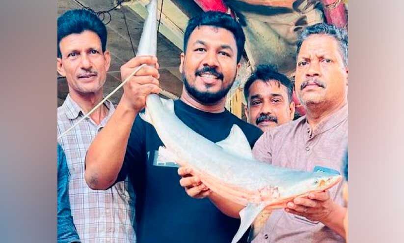 കുറ്റ്യാടി പുഴയിൽനിന്ന്​ സ്രാവിനെ പിടികൂടി