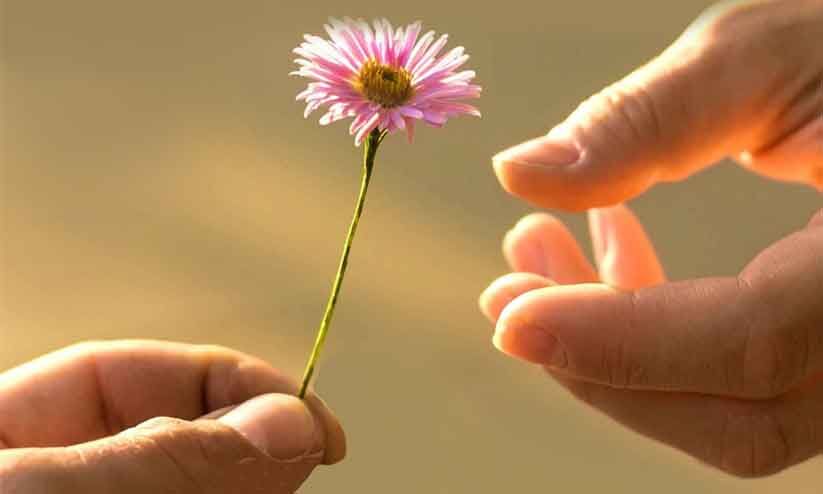 സ്നേഹത്തിന്റെ നിത്യവെളിച്ചം സ്നേഹത്തിന്റെ നിത്യവെളിച്ചം