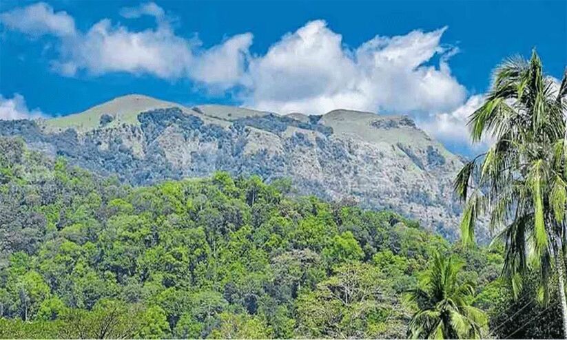 സൂക്ഷ്മപരിശോധന തുടരുന്നു; പരിസ്ഥിതി സംവേദ മേഖല ഇനിയും കുറഞ്ഞേക്കും സൂക്ഷ്മപരിശോധന തുടരുന്നു; പരിസ്ഥിതി സംവേദ മേഖല ഇനിയും കുറഞ്ഞേക്കും