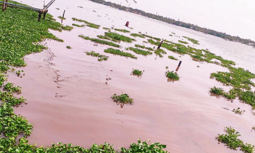 കൈതപ്പുഴ കായൽ നിറംമാറുന്നു; രാസമാലിന്യമെന്ന് സൂചന കൈതപ്പുഴ കായൽ നിറംമാറുന്നു; രാസമാലിന്യമെന്ന് സൂചന