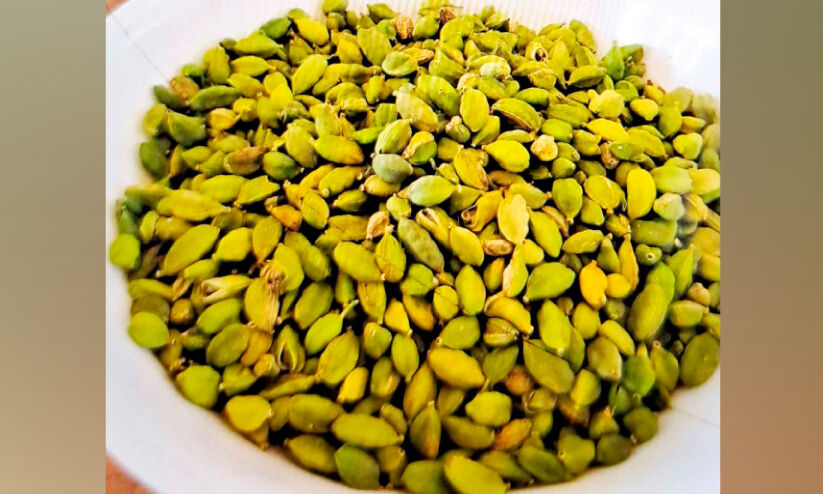 ഏലക്കയുടെ ഓൺലൈൻ ലേലത്തിൽ വ്യാപക അട്ടിമറി ഏലക്കയുടെ ഓൺലൈൻ ലേലത്തിൽ വ്യാപക അട്ടിമറി