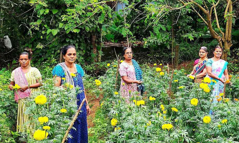 പൂ കൃ​ഷി​യി​ൽ പെ​ൺ​പ​ട​ക്ക് നൂ​റു​മേ​നി വി​ജ​യ​ത്തി​ള​ക്കം