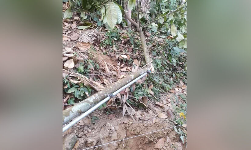 കൃ​ഷി​യി​ടം വി​ടാ​തെ കാ​ട്ടാ​ന; ക​ഴി​ഞ്ഞ ദി​വ​സം സൗ​രോ​ർ​ജ വേ​ലിയും ത​ക​ർ​ത്തു