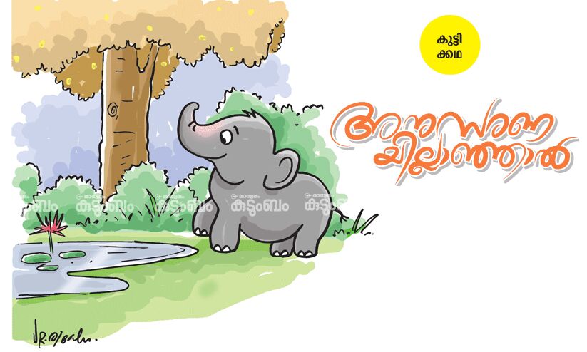 കുട്ടിക്കഥ: അനുസരണയില്ലാഞ്ഞാൽ കുട്ടിക്കഥ: അനുസരണയില്ലാഞ്ഞാൽ