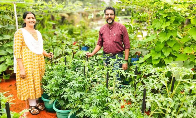 ‘ഓണത്തിനൊരു മുറം പച്ചക്കറി’; ആത്മസംതൃപ്തിയിൽ ഉപജ്ഞാതാവ് ‘ഓണത്തിനൊരു മുറം പച്ചക്കറി’; ആത്മസംതൃപ്തിയിൽ ഉപജ്ഞാതാവ്