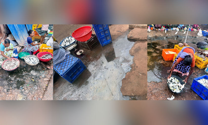 മത്സ്യക്കച്ചവടം മാലിന്യത്തിലോ?... മത്സ്യക്കച്ചവടം മാലിന്യത്തിലോ?...