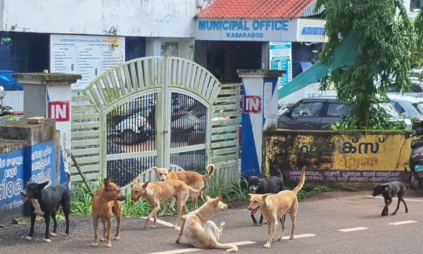 കുരച്ചുചാടും, കടിച്ചുകീറും; ആരുണ്ട് ചോദിക്കാൻ കുരച്ചുചാടും, കടിച്ചുകീറും; ആരുണ്ട് ചോദിക്കാൻ