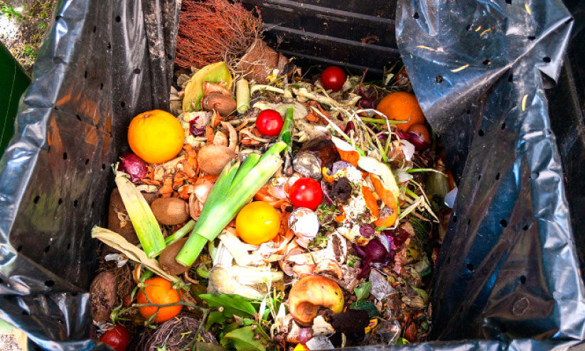 പുഴയോരത്ത് മാലിന്യം തള്ളിയതിന് 20,000 പിഴ