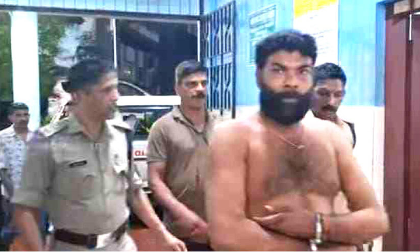 പീഡനശ്രമ കേസ് പ്രതിയെ പിടിക്കാനെത്തിയ പൊലീസുകാർക്കുനേരെ ആക്രമണം