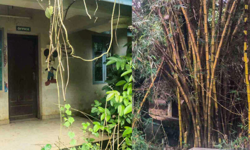 ഇടക്കടവ് ഇക്കോ ടൂറിസം പാർക്ക് ഇനിയും പ്രവർത്തനക്ഷമമായില്ല