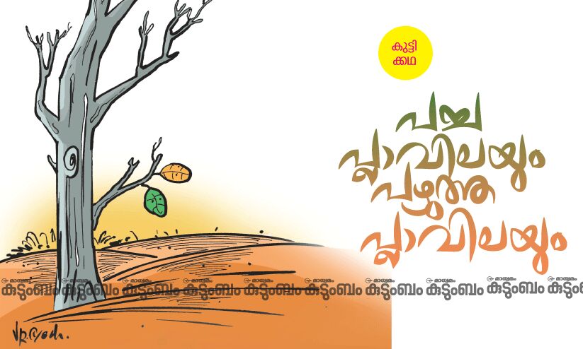 കുട്ടിക്കഥ: പച്ച പ്ലാവിലയും പഴുത്ത പ്ലാവിലയും