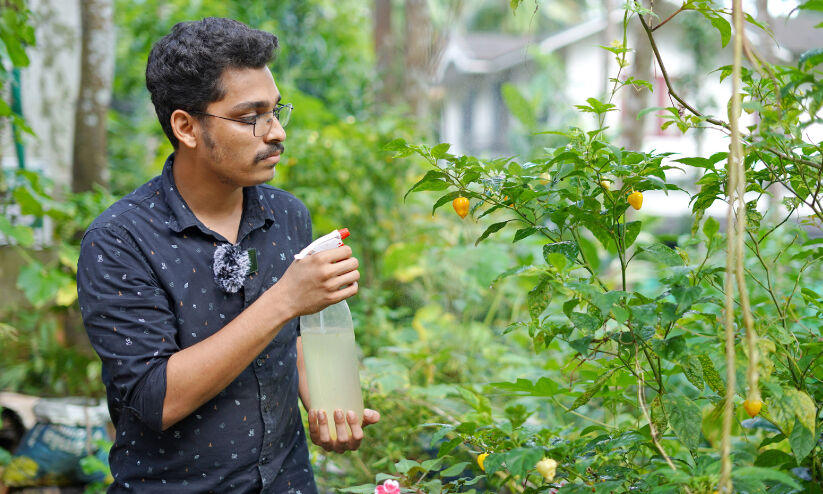 ദേ... കൃഷി; 23ാം വയസ്സിൽ കൃഷിയിലേക്കിറങ്ങി ല​ക്ഷ​ങ്ങ​ൾ വ​രു​മാ​നമുണ്ടാക്കുന്ന ഷി​ബി​ലിയുടെ കഥ