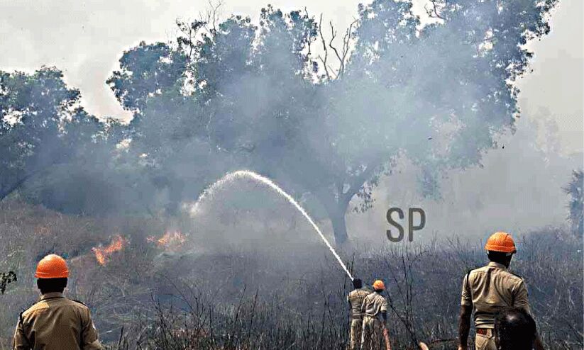 കു​മ്പി​ടി​യി​ൽ പെ​ട്രോ​ൾ പ​മ്പി​ന് സ​മീ​പം തീ​പി​ടി​ത്തം