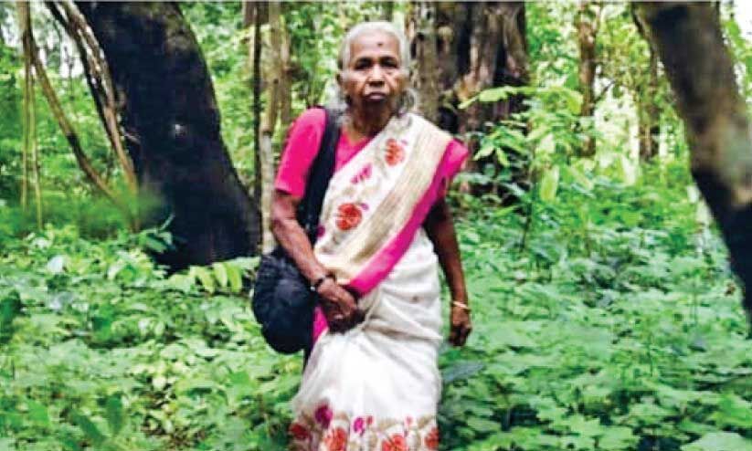 അ​സ്ത​മി​ച്ചു, കാ​ടി​ന്റെ അ​ക്ഷ​ര വെ​ളി​ച്ചം