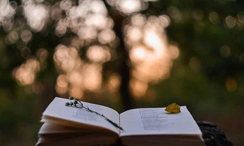 വീടില്ലാത്ത ദേശാടനപ്പക്ഷി വീടില്ലാത്ത ദേശാടനപ്പക്ഷി