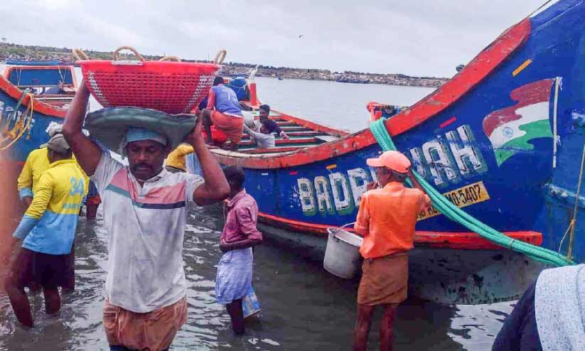 ക​ണ്ടെ​യ്​​ന​റു​ക​ളി​ലെ വ​സ്തു​ക്ക​ളി​ൽ കു​ടു​ങ്ങി; വ​ല​ക​ൾ ന​ശി​ക്കു​ന്നു