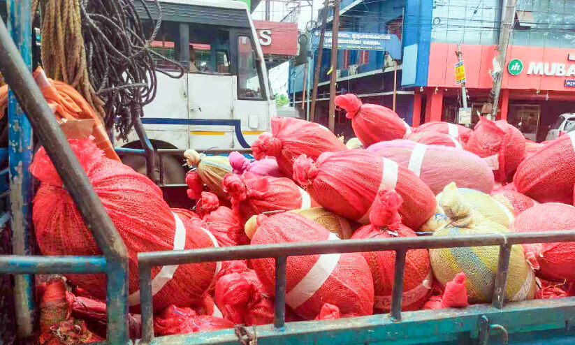 കോന്നി ചക്കക്ക് പ്രിയമേറുന്നു; വിലയിടിവ് വ്യാപാരികൾക്ക് തിരിച്ചടി കോന്നി ചക്കക്ക് പ്രിയമേറുന്നു; വിലയിടിവ് വ്യാപാരികൾക്ക് തിരിച്ചടി