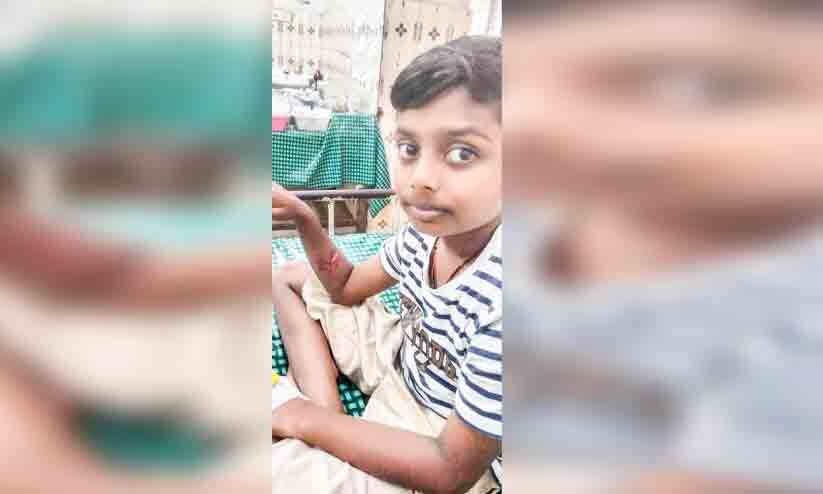 വിദ്യാർഥി ഉൾപ്പെടെ മൂന്നുപേരെ ആക്രമിച്ചു; ഓടി നടന്ന് കടിച്ച് തെരുവ്നായ് വിദ്യാർഥി ഉൾപ്പെടെ മൂന്നുപേരെ ആക്രമിച്ചു; ഓടി നടന്ന് കടിച്ച് തെരുവ്നായ്