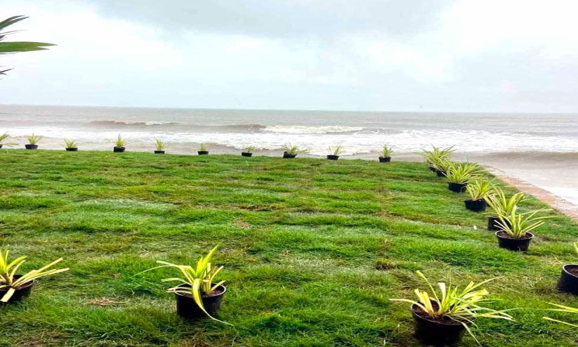 തിരവിഴുങ്ങുന്ന ജീവനും ജീവിതവും തിരവിഴുങ്ങുന്ന ജീവനും ജീവിതവും