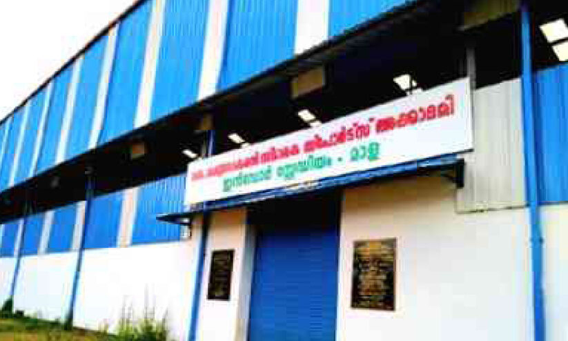 കെ.ക​രു​ണാ​ക​ര​ൻ സ്മാ​ര​ക സ്റ്റേ​ഡി​യം; ഇ​വി​ടെ കാ​ടു​ണ്ട്, പാ​മ്പു​ണ്ട്; പ​ക്ഷേ, ക​ളി​യി​ല്ല