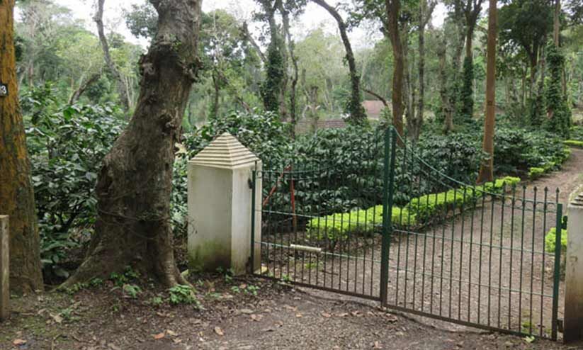 കോടതിയിൽ കേസുള്ള ആലത്തൂർ എസ്റ്റേറ്റിൽനിന്ന് മരം മുറിക്കാൻ നീക്കം കോടതിയിൽ കേസുള്ള ആലത്തൂർ എസ്റ്റേറ്റിൽനിന്ന് മരം മുറിക്കാൻ നീക്കം