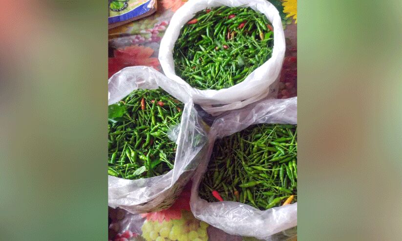 കാന്താരി മുളക് വേണോ? വില 450 രൂപ കാന്താരി മുളക് വേണോ? വില 450 രൂപ