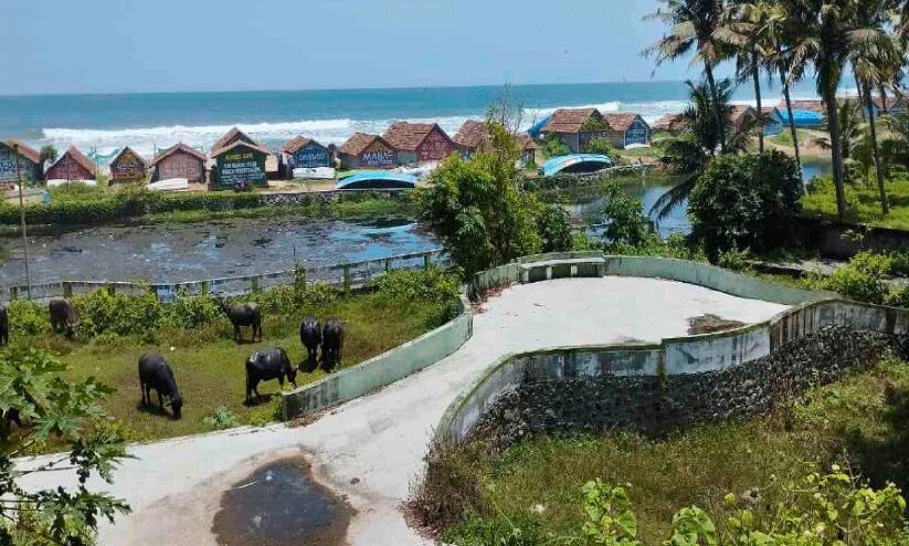 കാലികൾക്ക്​ മേയാൻ  വെറ്റക്കട പാർക്ക്​