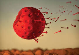 ഒമാനിൽ കോവിഡ് രോഗ മുക്തി നിരക്ക് 93.5 ശതമാനം ഒമാനിൽ കോവിഡ് രോഗ മുക്തി നിരക്ക് 93.5 ശതമാനം