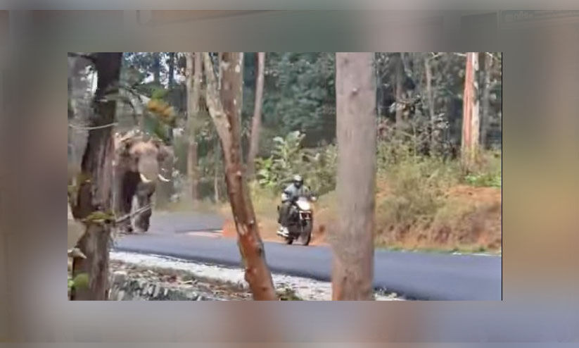 കാട്ടിക്കുളം-തിരുനെല്ലി റോഡിൽ ബൈക്ക് യാത്രക്കാർ കാട്ടാനയുടെ മുന്നിൽ അകപ്പെട്ടു കാട്ടിക്കുളം-തിരുനെല്ലി റോഡിൽ ബൈക്ക് യാത്രക്കാർ കാട്ടാനയുടെ മുന്നിൽ അകപ്പെട്ടു
