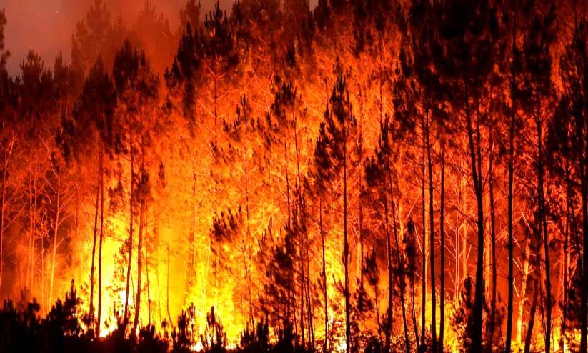 അമേരിക്കൻ ജനത കാലാവസ്ഥ ആഘാതങ്ങളിൽനിന്ന് എങ്ങനെ രക്ഷപ്പെടും? അമേരിക്കൻ ജനത കാലാവസ്ഥ ആഘാതങ്ങളിൽനിന്ന് എങ്ങനെ രക്ഷപ്പെടും?