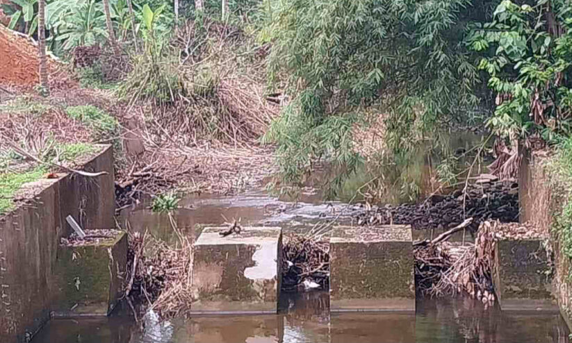 പുനരുദ്ധാരണ പ്രവൃത്തിയില്ല; പുല്ലൂരാംപാറയിൽ തടയണകൾ നശിക്കുന്നു