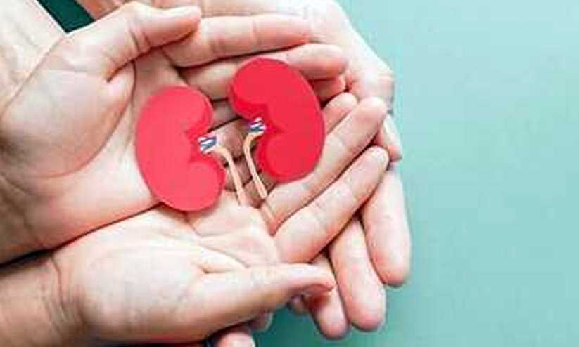 ഇന്ന് ലോക വൃക്കദിനം; വൃക്കക്ക് ഇനി കൂടുതൽ കരുതൽ ഇന്ന് ലോക വൃക്കദിനം; വൃക്കക്ക് ഇനി കൂടുതൽ കരുതൽ
