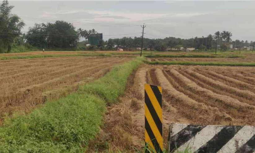 സപ്ലൈകോ നെല്ല് സംഭരണം ഇത്തവണയും പാളി; നട്ടംതിരിഞ്ഞ് കർഷകർ സപ്ലൈകോ നെല്ല് സംഭരണം ഇത്തവണയും പാളി; നട്ടംതിരിഞ്ഞ് കർഷകർ