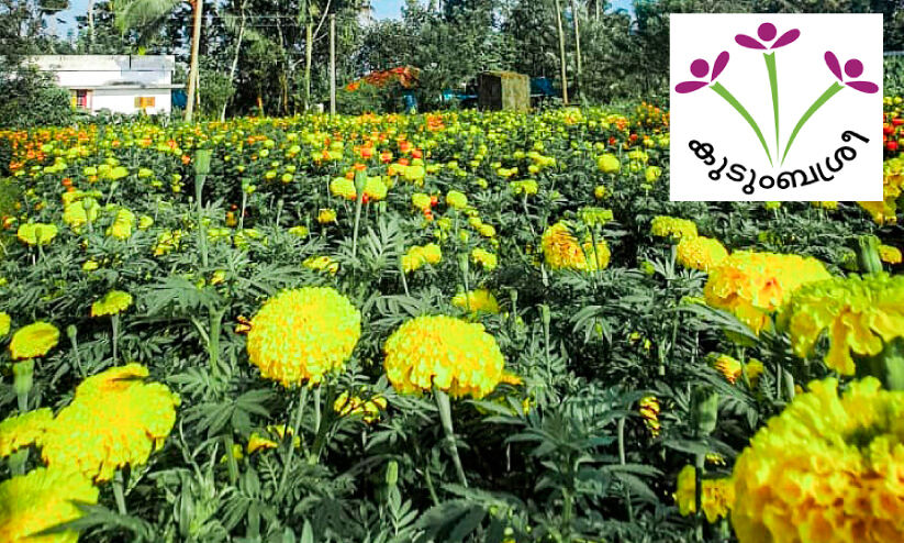 ഈ ഓണം കുടുംബശ്രീയുടെ കൈകളിലൂടെ; പൂമണം പരക്കും... ഓണക്കനികൾ കായ്ക്കും...