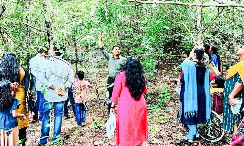 അപൂർവ വനമൊരുക്കി ചെങ്ങന്നൂർ ക്രിസ്ത്യൻ കോളജ് അപൂർവ വനമൊരുക്കി ചെങ്ങന്നൂർ ക്രിസ്ത്യൻ കോളജ്