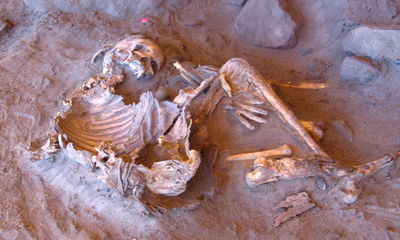 അജ്ഞാത വംശപരമ്പരയിൽപ്പെട്ട 7,000 വർഷം പഴക്കമുള്ള മമ്മികൾ സഹാറയിൽ കണ്ടെത്തി അജ്ഞാത വംശപരമ്പരയിൽപ്പെട്ട 7,000 വർഷം പഴക്കമുള്ള മമ്മികൾ സഹാറയിൽ കണ്ടെത്തി