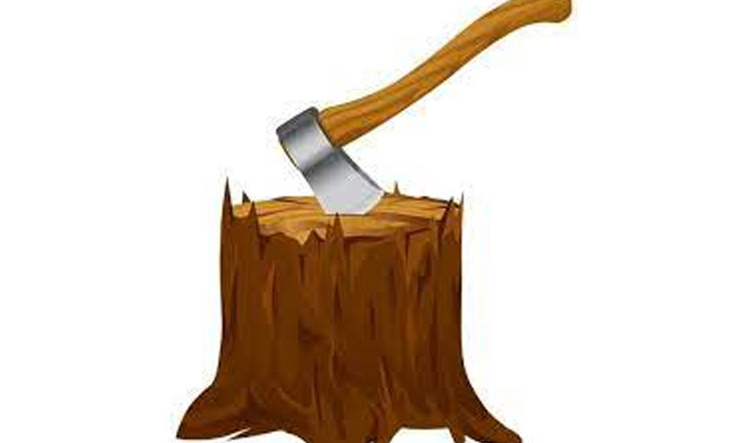 തിരുവഴിയാട് വില്ലേജിലെ വിവാദ മരംമുറി; തിരുത്തിയത് രണ്ട് ഉത്തരവുകൾ