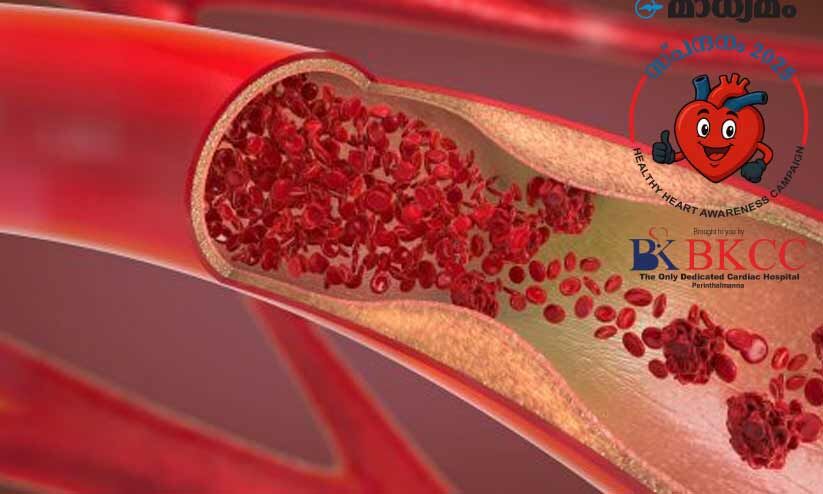 ഹൃദ്രോഗവും രക്തക്കുറവും: അപകടകരമായ ഇരട്ട ഭീഷണി ഹൃദ്രോഗവും രക്തക്കുറവും: അപകടകരമായ ഇരട്ട ഭീഷണി