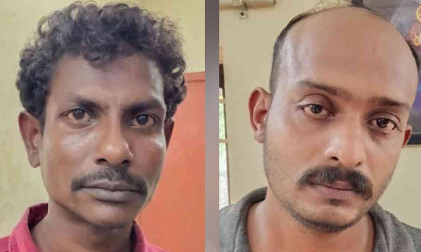 ക്ഷീരഫാമിന്റെ മറവിൽ കഞ്ചാവ് കച്ചവടം: രണ്ടുപേർ പിടിയിൽ ക്ഷീരഫാമിന്റെ മറവിൽ കഞ്ചാവ് കച്ചവടം: രണ്ടുപേർ പിടിയിൽ