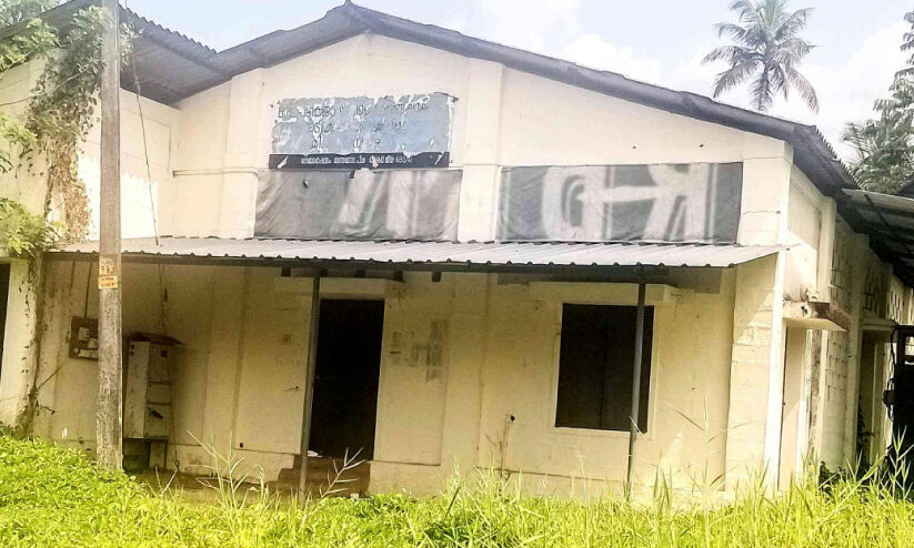 അ​ന്ന​മ​ന​ട ക​ലൂ​ർ ച​കി​രി​നാ​ര് ഫാ​ക്ട​റി​ക്ക് ന​ല്ല​കാ​ലം വ​രു​മോ?; കാടു പിടിച്ച് ഫാക്ടറി പരിസരം