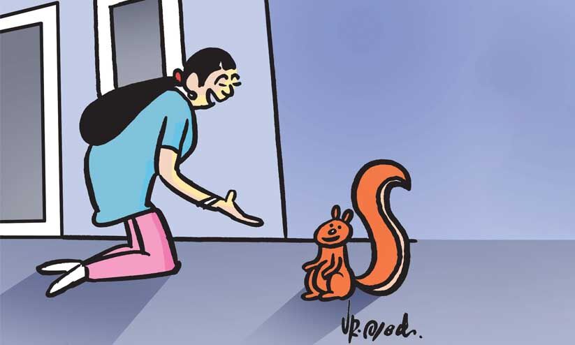 മൃഗസ്​​േനഹിയായ ഞാൻ...