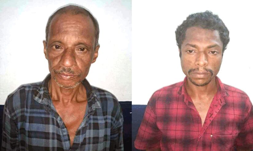 അനീഷിന്റെ മരണം ഉലക്കകൊണ്ട് തലക്കടിയേറ്റ് അനീഷിന്റെ മരണം ഉലക്കകൊണ്ട് തലക്കടിയേറ്റ്