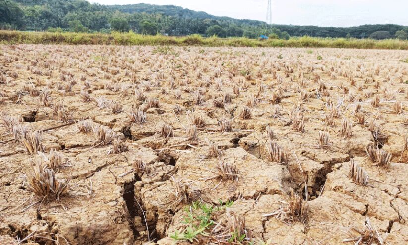 ഊർക്കടവ് റെഗുലേറ്റർ ഷട്ടർ രാത്രി തുറന്നിടുന്നു; ചാലിയാറിൽ ജലനിരപ്പ് താഴ്ന്നു ഊർക്കടവ് റെഗുലേറ്റർ ഷട്ടർ രാത്രി തുറന്നിടുന്നു; ചാലിയാറിൽ ജലനിരപ്പ് താഴ്ന്നു