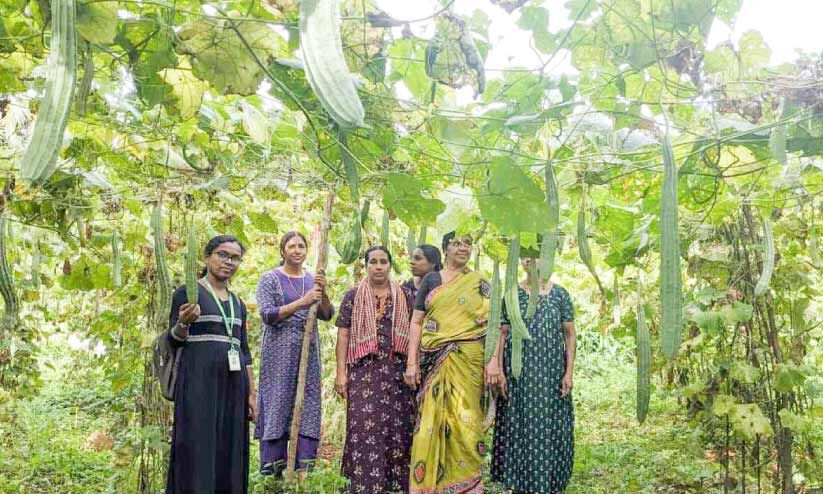 കൃ​ഷി​യി​ൽ പു​തു​ച​രി​ത്ര​മെ​ഴു​താ​ൻ ക​ട​ന്ന​പ്പ​ള്ളി