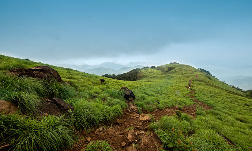 സുന്ദരക്കാഴ്ചകൾ മങ്ങില്ല; വരും ടൂറിസം സർക്യൂട്ട് പദ്ധതി... സുന്ദരക്കാഴ്ചകൾ മങ്ങില്ല; വരും ടൂറിസം സർക്യൂട്ട് പദ്ധതി...